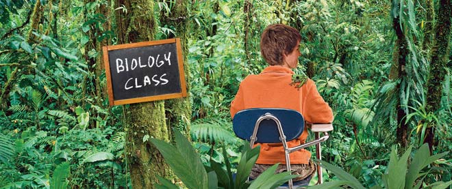 University without high school